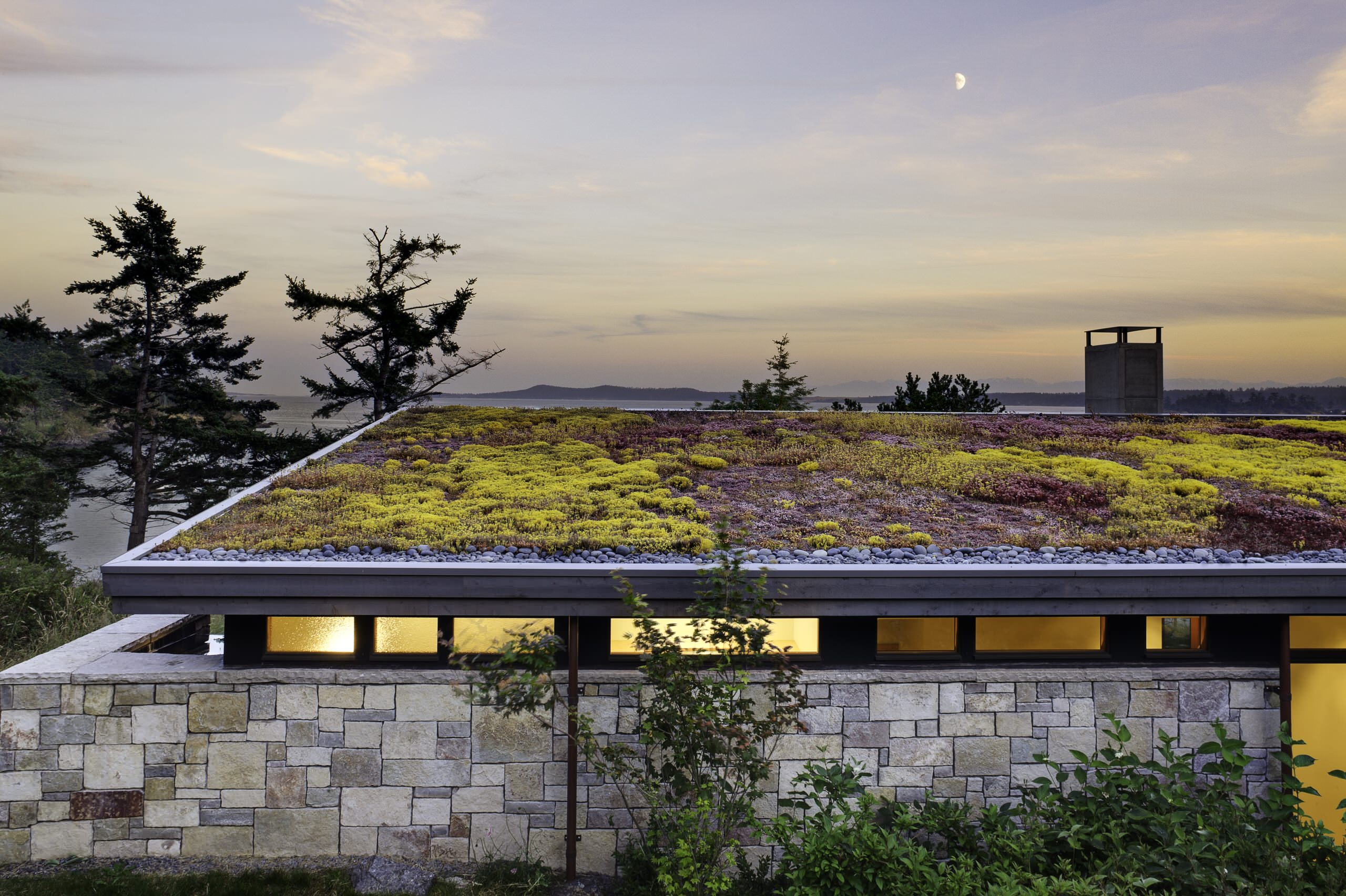 Lush planted green flat roof